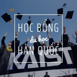hoc bong dai hoc han quoc cho chuong trinh sau dai hoc va dai hoc