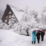 Mùa đông ở Nhật đi đâu?