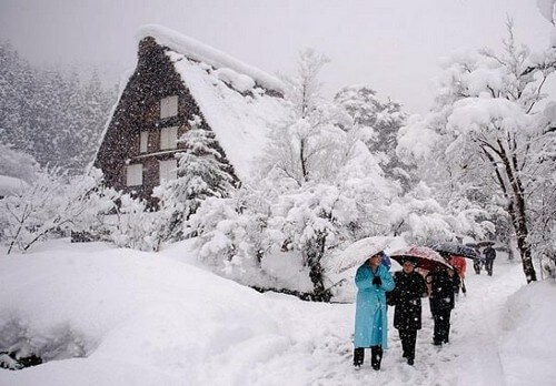 Mùa đông ở Nhật đi đâu?