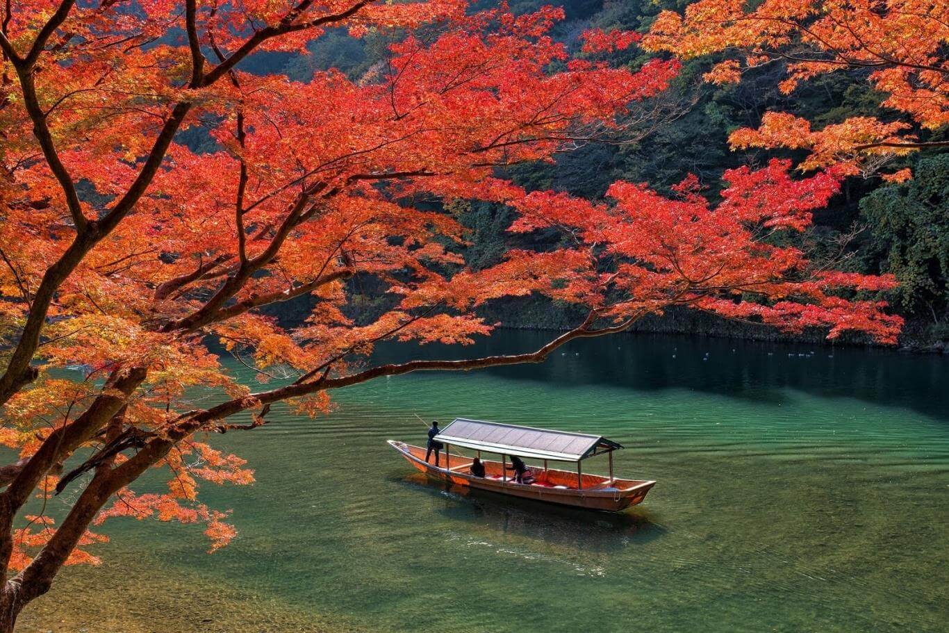Mùa thu ở nước Nhật