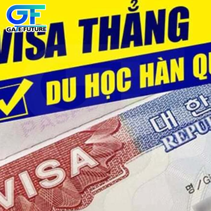 mã code visa là gì