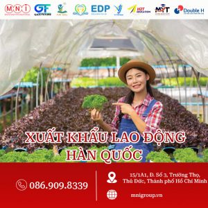 xuất khẩu lao động hàn quốc